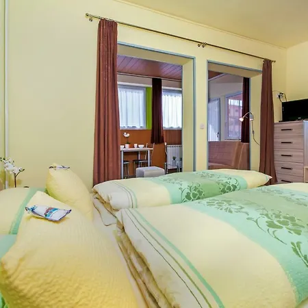 Erik Adults Only Bed & Breakfast 3*